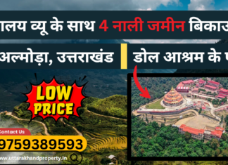 4 Nali Land with Majestic Himalaya Views for Sale Near Dol Ashram, Almora – A Dream Investment Awaits! 4 nali land near dol ashram almora