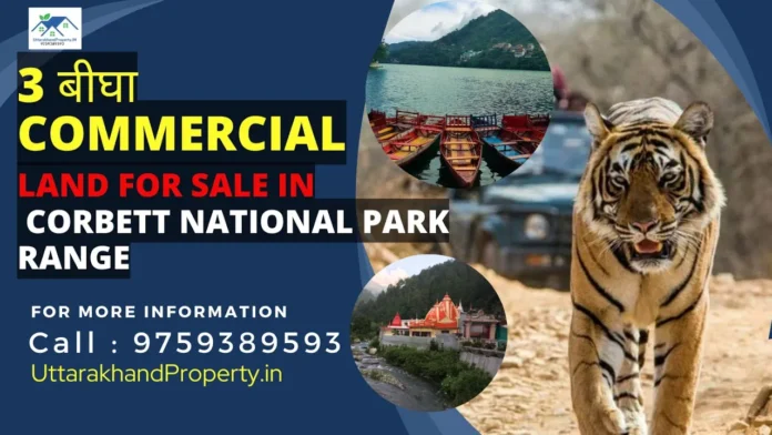 Commercial Land for Sale in Corbett National Park Range