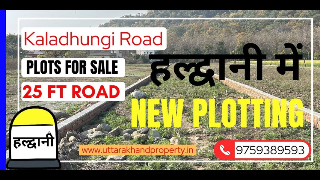 NEW PLOTTING SAI MANDIR 25 FT ROAD