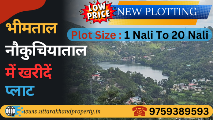 bhimtal-naukuchiyatal-new-plotting-jungaliya-gaon-1-nali-to-20-nali