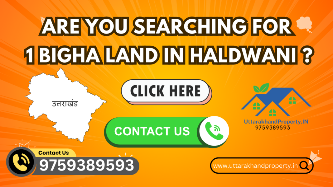 1 bigha land in Haldwani