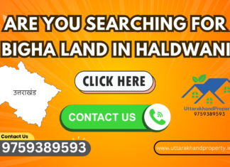 1 Bigha Land in Haldwani, Uttarakhand 1 bigha land in Haldwani
