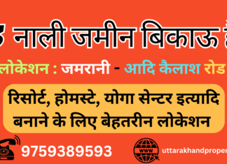 3 Nali Land for Sale in Haldwani-Kathgodam-Bhimatal Road, Uttarakhand 3 nali land for sale in haldwani kathgodam bhimtal road near jamrani dam