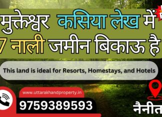 7 Nali Land for Sale in Fruit Belt #Mukteshwar, Nainital | 70-80 Apple Trees 7 Nali Land Available for sale in Fruit Belt Mukteshwar nainital