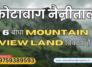 6 Bigha Agriculture Land for Sale in Kotabagh Nainital (Near Corbett Range Ramnagar) Agriculture Land for Sale in Kotabagh Nainital