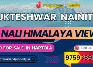 Hartoala, Mukteshwar: 3 Nali Land with Scenic Himalayan Views for Sale Hartoala, Mukteshwar 3 Nali Land with Scenic Himalayan Views for Sale