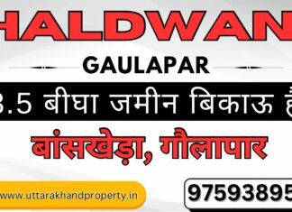 3.5 Bigha Land for Sale in Golapar Haldwani – A Golden Investment Opportunity! Land for Sale in Golapar Haldwani