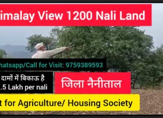 Himalaya View Land for Sale in Devidhura, Nainital | Best Investment Opportunity at Just ₹1.5 Lakh/Nali 1200 nali land for sale in devidhura uttarakhand