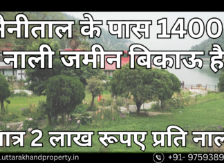 1400+ Nali Himalaya View Land in Nainital – Perfect for Investment & Peaceful Living! 1400 nali land for sale near nainital