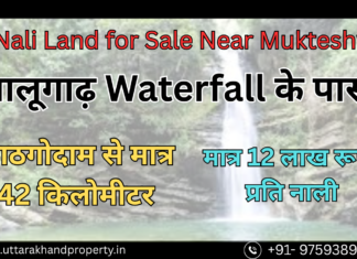 16 Nali Land for Sale in Snowfall Zone near Bhalugad Waterfall | Mukteshwar Road, Nainital 16 Nali Land for Sale Near Mukteshwar
