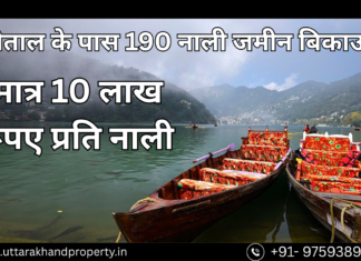 190 Nali Land for Sale in Jyolikot, Near Nainital – Perfect for Hotel, Resort, or Investment! 190 nali land for sale near nainital uttarakhand best for hotel resort homestay