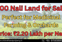 Champawat Hills में 5000 ft+ की ऊँचाई पर – 200 Nali Land for Sale | Perfect for Medicinal Farming & Orchards 200 Nali Land for Sale in Champawat Uttarakhand