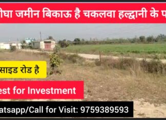 4 Bigha Land for Sale in Chakalwa (Vijay Nagar), Near Haldwani – A Golden Investment Opportunity! 4 bigha land for sale in chakalwa near haldwani