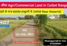 Investment Opportunity Near Jim Corbett – 5 Bigha Land in Chunakhan! 5 bigha land available for sale in ramnagar