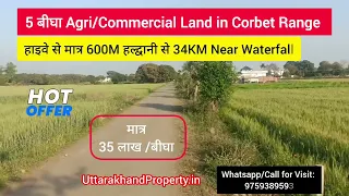 Investment Opportunity Near Jim Corbett – 5 Bigha Land in Chunakhan! 5 bigha land available for sale in ramnagar