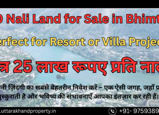 70 Nali Lake Facing Land for Sale in Bhimtal – Perfect for Resort or Villa Project 70 Nali Land for Sale in Bhimtal