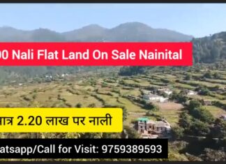 600 Nali Flat Land for Sale in Bhatrojkhan – Best Property Investment in Nainital Flat land for sale in nainital uttarakhand